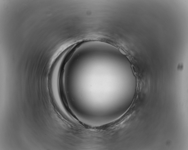 X0000092060244200709191148