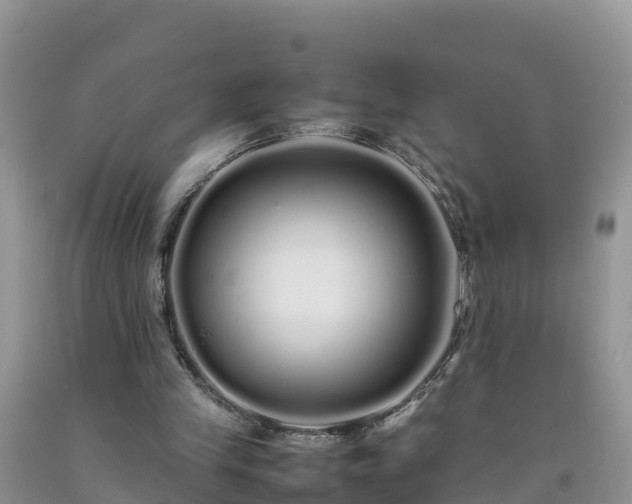 X0000092060245200709191148