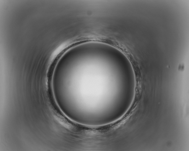 X0000092060246200709191148