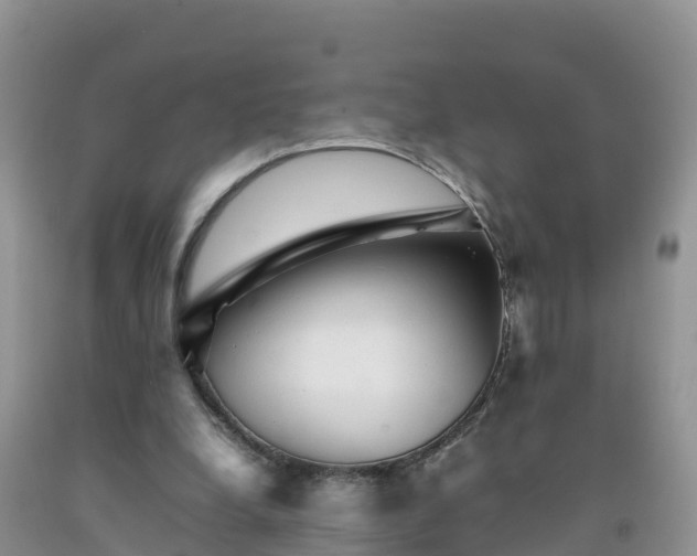 X0000092060248200709191148