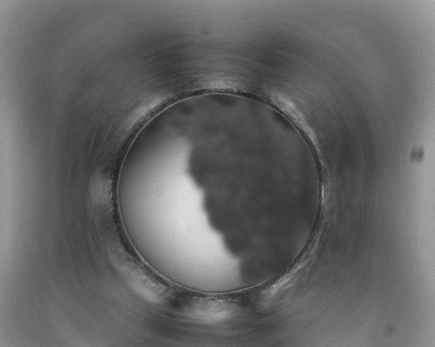 X0000092060249200709191148