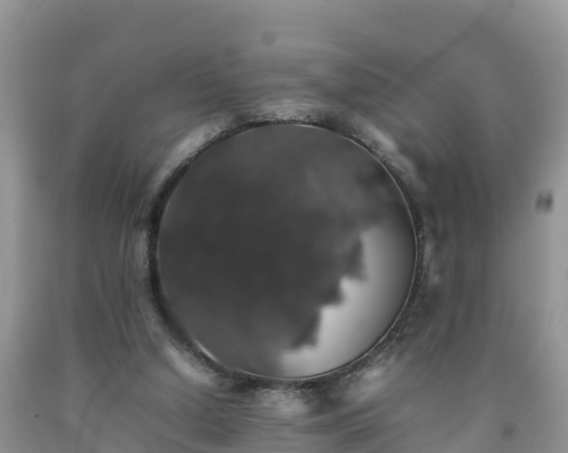 X0000092060250200709191148