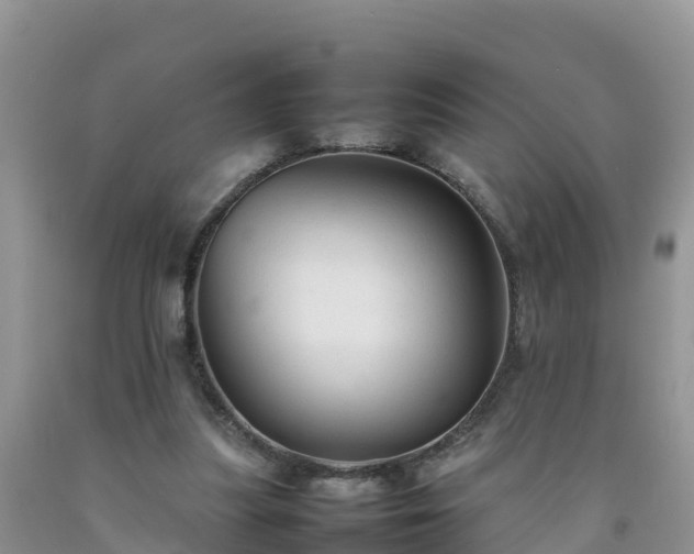 X0000092060251200709191148