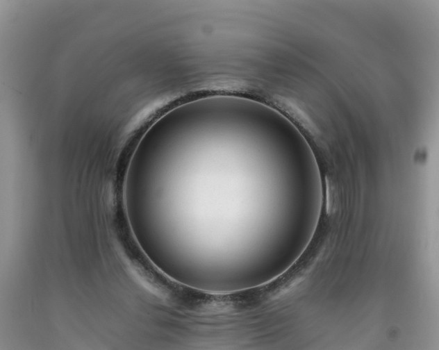 X0000092060252200709191148