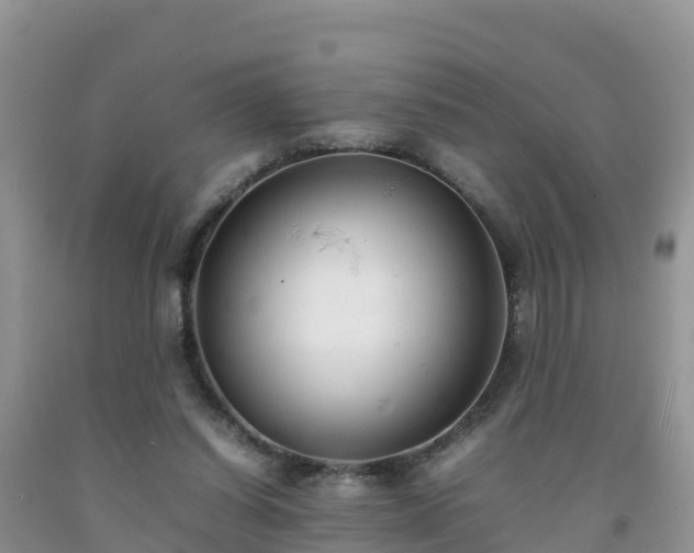 X0000092060254200709191148