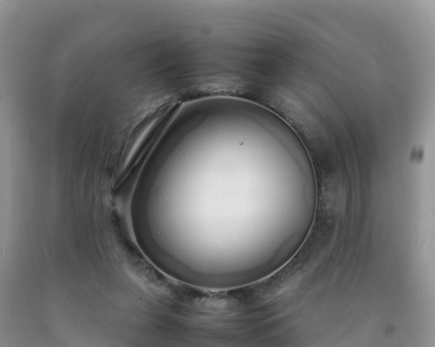 X0000092060255200709191148