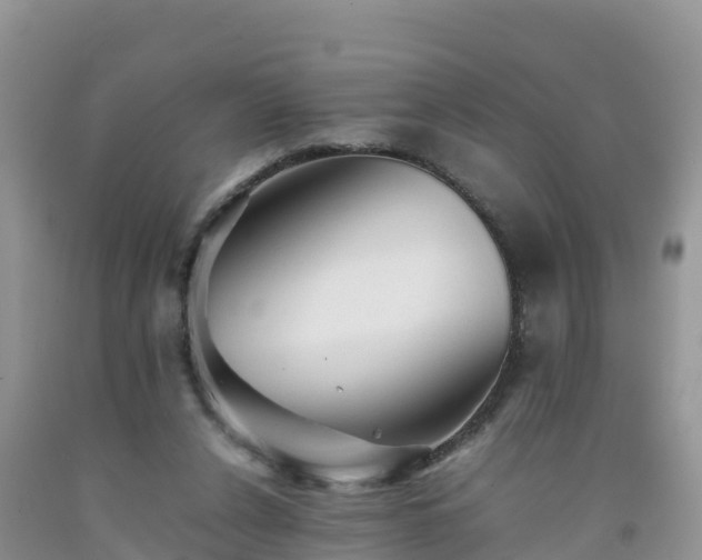 X0000092060256200709191148