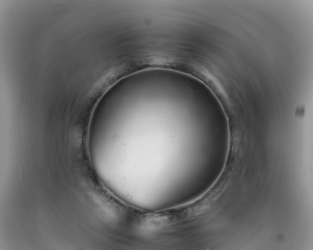 X0000092060257200709191148