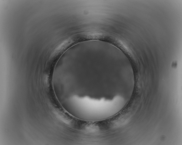 X0000092060258200709191148