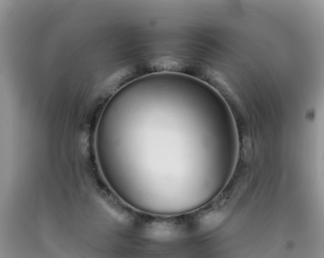 X0000092060259200709191148