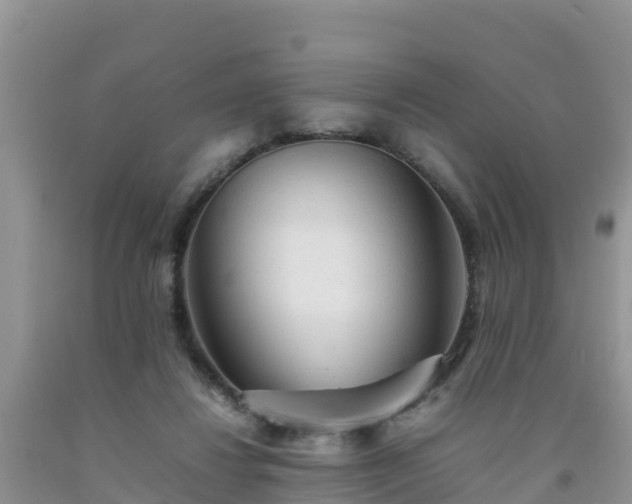 X0000092060260200709191148