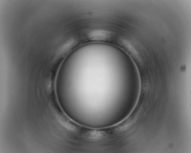 X0000092060261200709191148