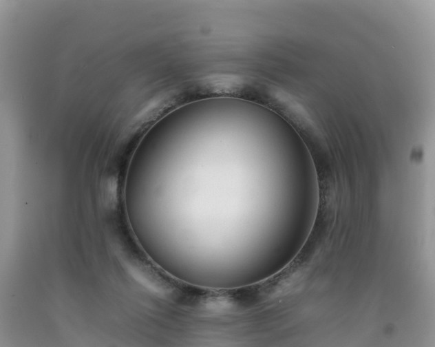 X0000092060262200709191148