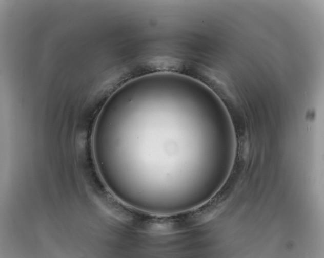 X0000092060263200709191148