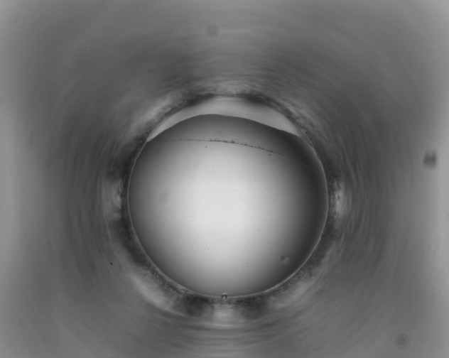 X0000092060264200709191148