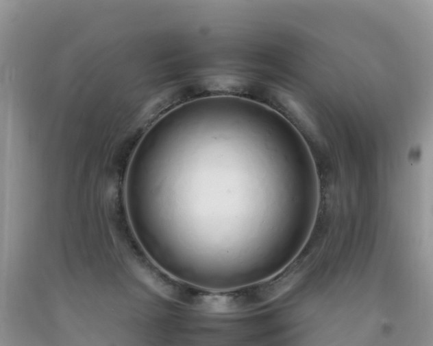 X0000092060265200709191148