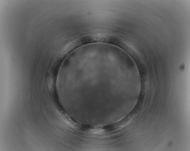 X0000092060266200709191148