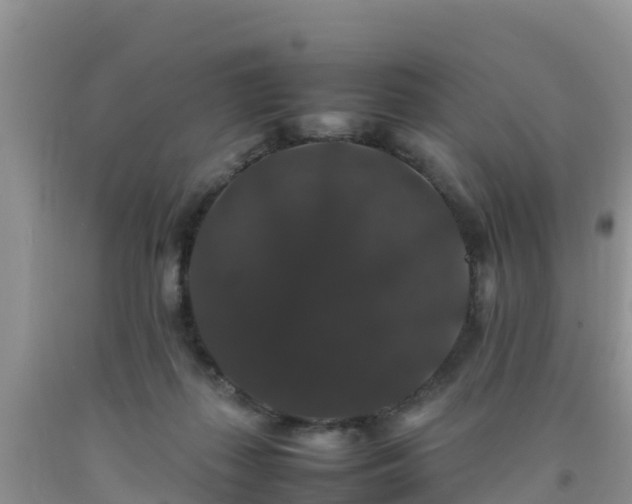 X0000092060267200709191148