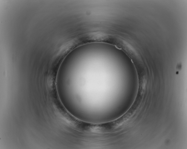 X0000092060268200709191148