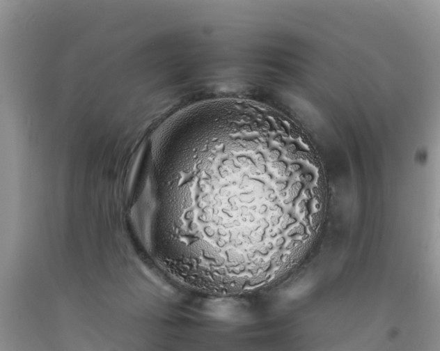 X0000092060269200709191148