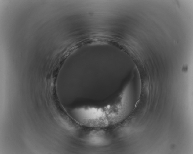 X0000092060271200709191148