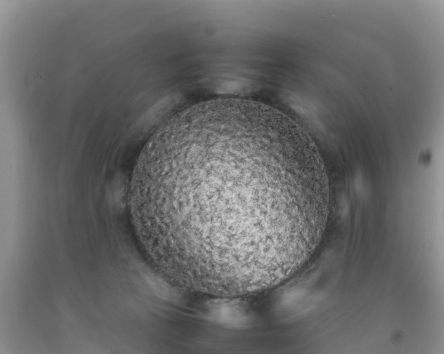 X0000092060273200709191148