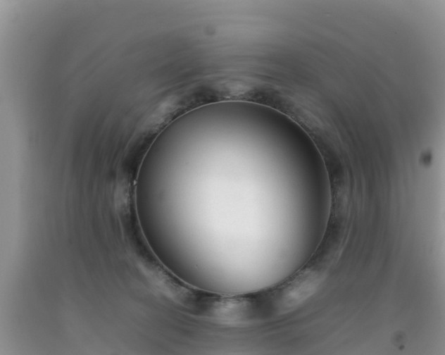 X0000092060274200709191148