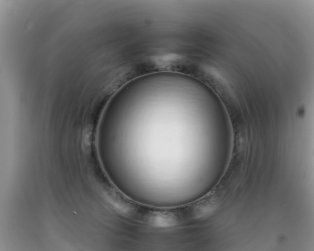 X0000092060275200709191148