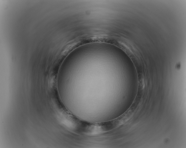 X0000092060276200709191148