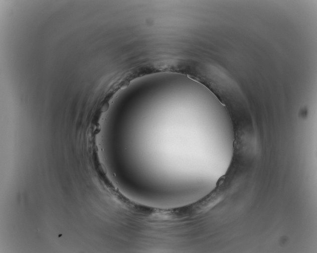 X0000092060280200709191148