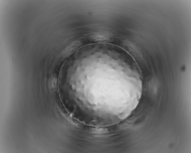 X0000092060281200709191148