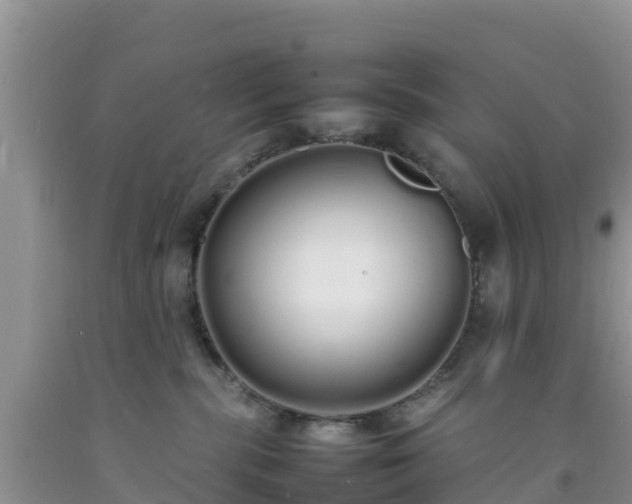 X0000092060283200709191148