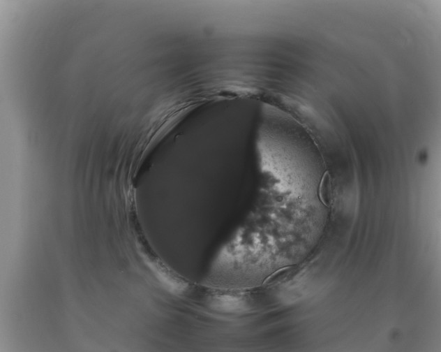 X0000092060285200709191148