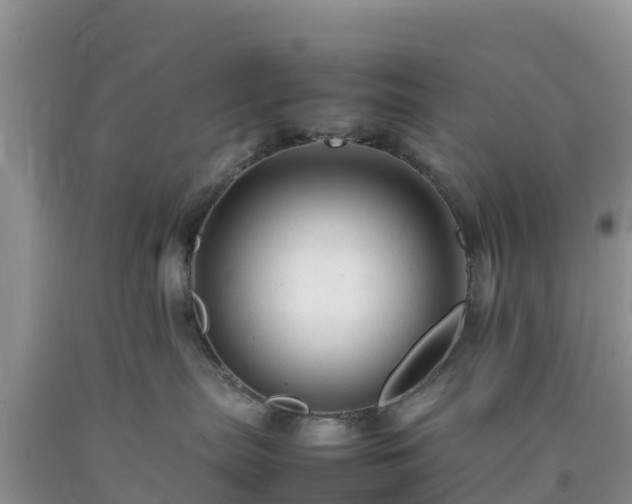 X0000092060287200709191148