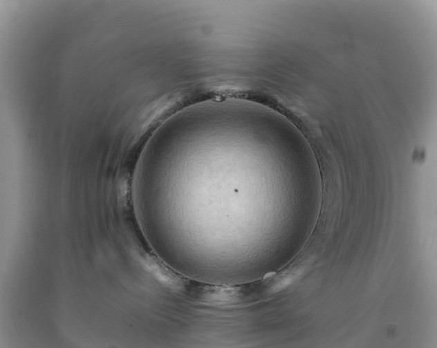 X0000092060288200709191148