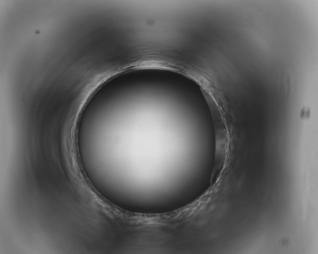 X0000092060289200709191148