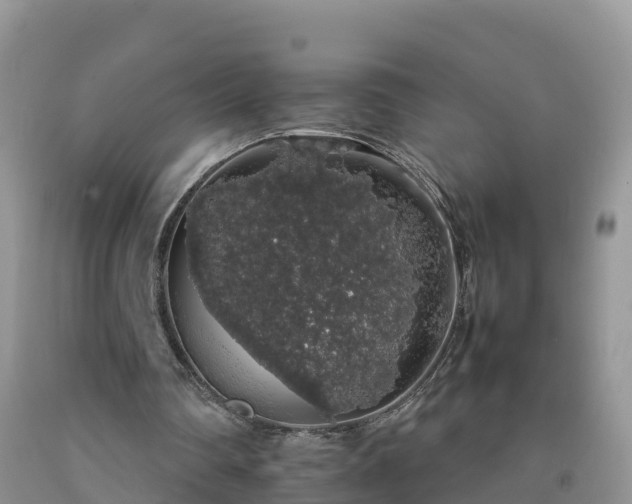 X0000092060290200709191148