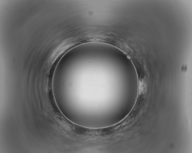 X0000092060291200709191148