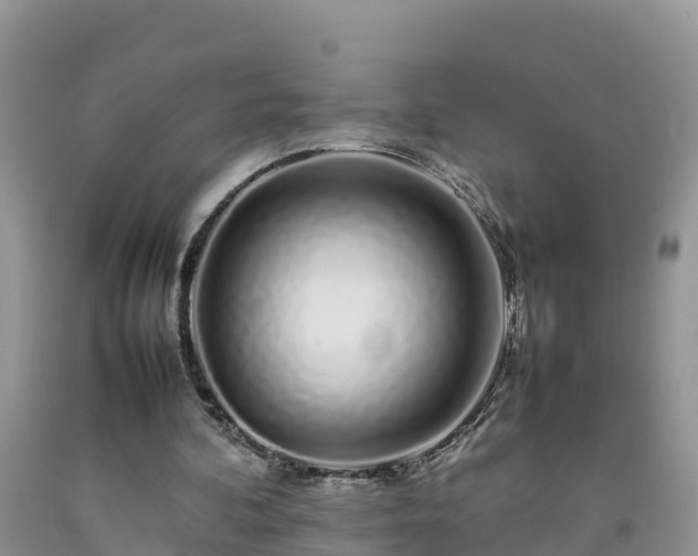 X0000092060292200709191148