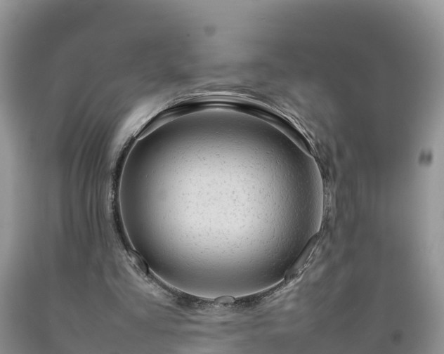 X0000092060293200709191148