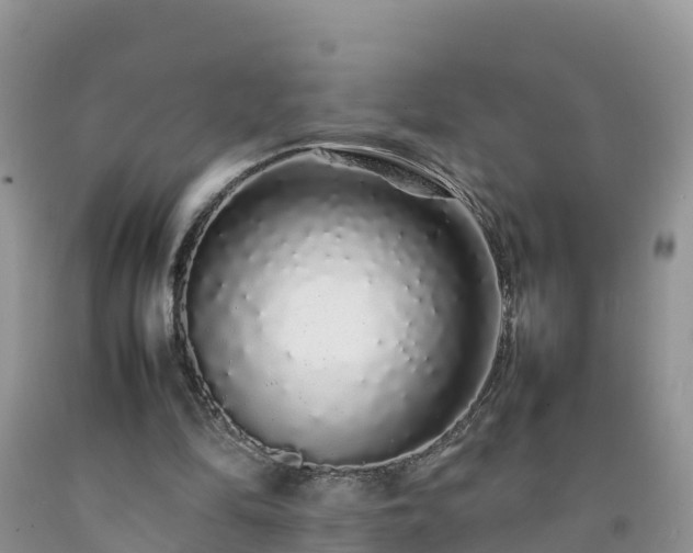 X0000092060294200709191148