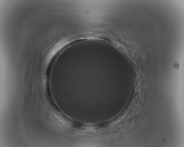 X0000092060295200709191148