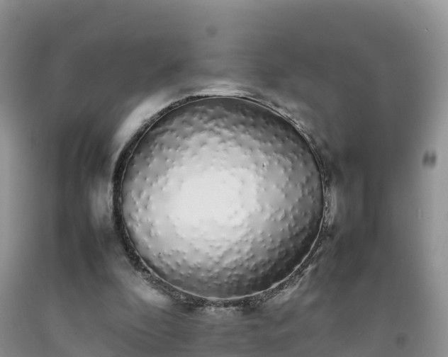 X0000092060296200709191148