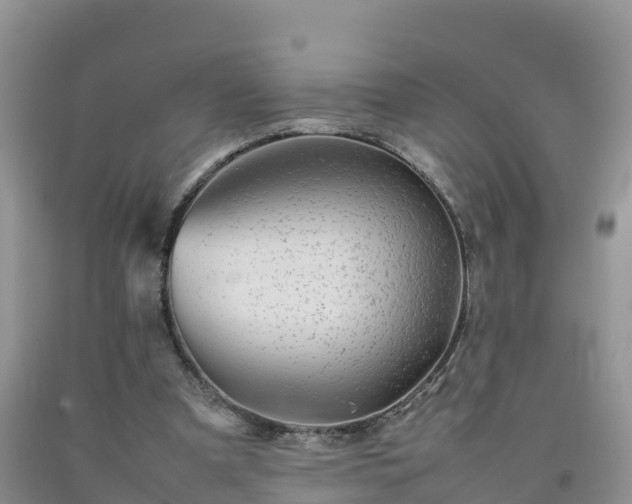 X0000092060297200709191148