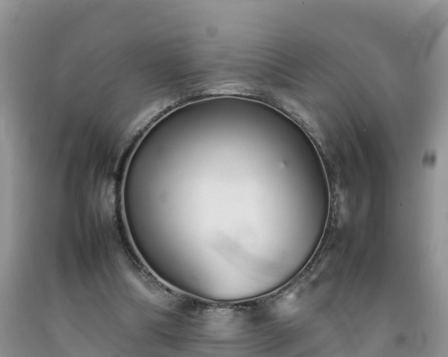 X0000092060298200709191148