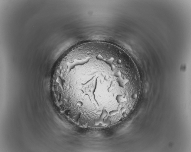 X0000092060299200709191148