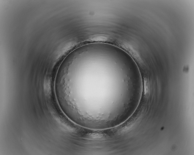 X0000092060300200709191148