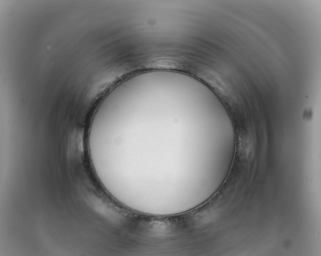 X0000092060302200709191147