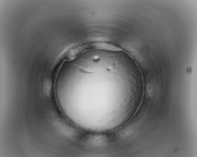 X0000092060304200709191147