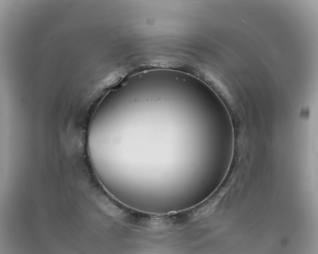 X0000092060305200709191147